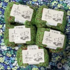スキープリモ　チャイ　グリーン系　5玉　毛糸　元廣