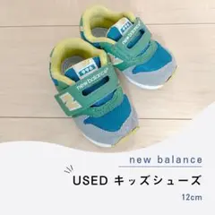 Item thumbnail for item 397ed572-b42a-444e-9847-0397b8f9e94e