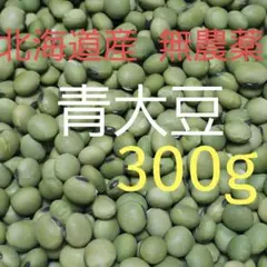 北海道産 無農薬 青大豆