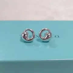 TIFFANY ティファニー エターナル サークル ピアス