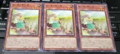 遊戯王　苗と霞の春化精　DABL　ノーマル　３枚セット