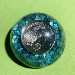 パウア貝 ペーパーウエイト