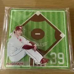 楽天イーグルス　伊藤裕季也選手　アクリルコースター　体育座り