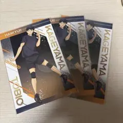 ハイキュー 影山飛雄 アニメイト 擬似ユース 特典 ポストカード 3枚セット
