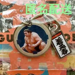 大相撲 ガチャ ダブルチャームメタルキーホルダー 若元春