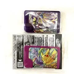 【ポケモンフレンダ　ベストタッグ】　ソルガレオ　ピカチュウ