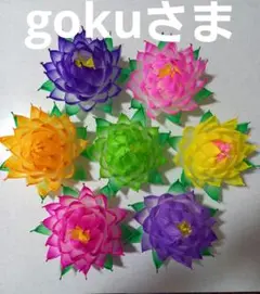 gokuさま専用