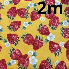 【特価】最終出品1枚限り★オックス★リアルいちご★