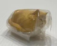 香箱座りの猫の小箱　ペルシャ　茶　香箱座り　【説明ご確認ください】　匿名配送　①
