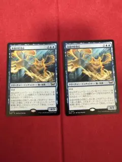 永劫の好奇心　２枚セット