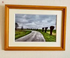 Item thumbnail for item c982e12f-eed1-4224-b640-6fd2e46c771b