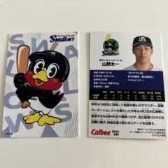 山野太一 つば九郎 東京ヤクルトスワローズ