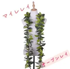 【7本セット】マイレオープンレイ　フラダンス　ハワイアン