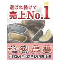 Item thumbnail for item 082d404b-f6dc-44bb-98f1-522f88937e72