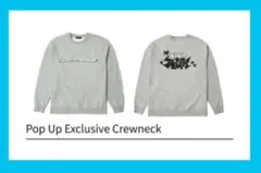 Item thumbnail for item 4ab96565-5b07-4ffd-b81d-be59e93ab2df