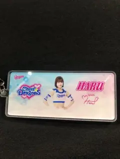 中日ドラゴンズ　チアドラ　シークレットアクリルキーホルダー　HARU