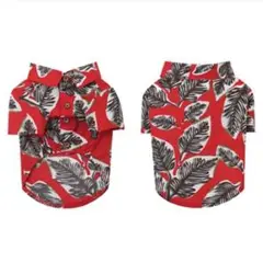 Item thumbnail for item ab5cfe59-0190-4583-b537-494931a13eaf