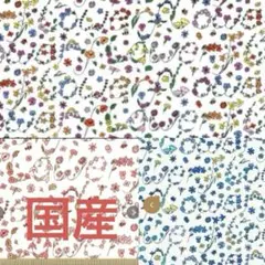 さらさまご専用