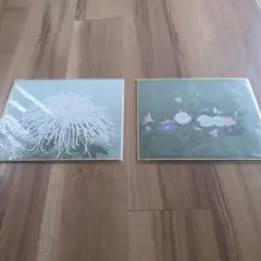 那波多目功一、【寂】、希少な額装用画集より、新品額装付、状態良好 i-img640x480-