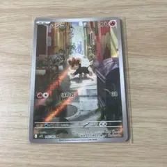 シシコ　AR