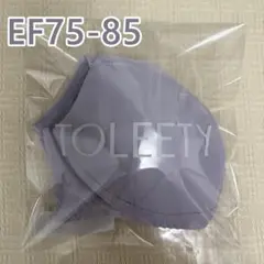 TOLEETY トゥリーティ 軽やかストレスフリーブラ パープル EF75-85