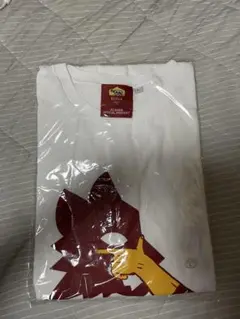 Japan Tour記念Tシャツ