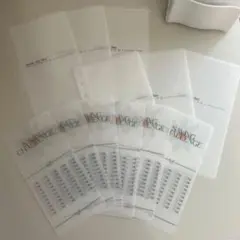 積立貯金✴︎チェックシート付きリフィルA6