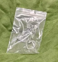Item thumbnail for item 3dd2440d-5baa-48bd-813b-c36c3ec14d00
