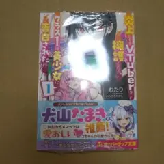 炎上してるVTuberを擁護したら、クラス1の美少女に告白された件 1