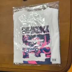 ONEOKROCK DETOXツアー　TシャツE　Mサイズ