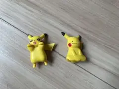 ふちこさん　ピカチュウ