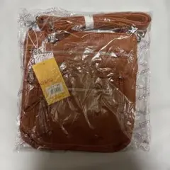 Item thumbnail for item 846c0b9e-fdd2-453e-bf8f-86e7cdf34809