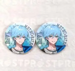 めておら　らぴすくん　First 1MPACT　缶バッジ　夏ビジュ　等身　2個