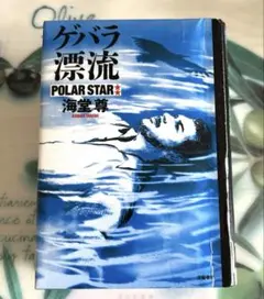 【図書館リサイクル本】