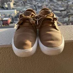 NIKE SB SHANE