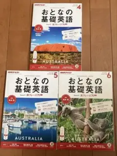 おとなの基礎英語　宮沢氷魚