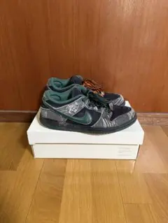 Nike sb dunk low there skate