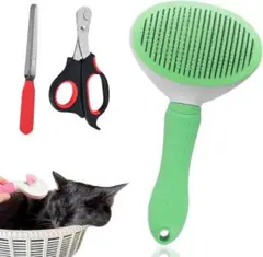 Item thumbnail for item 2644b56e-951f-47b2-a4a2-4032ee205079