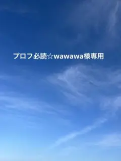 プロフ必読☆wawawa様