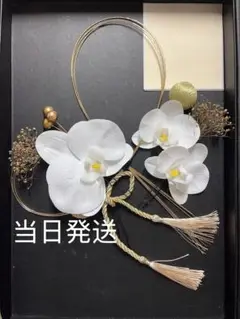 Item thumbnail for item e39cee85-1a06-46bf-8d5a-bb434803153b