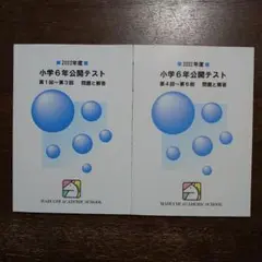 2022年度 小学6年生 公開テスト 問題集2冊セット