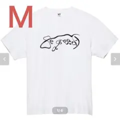 8egreedy tシャツ Mサイズ