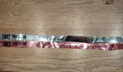 TWICE 銀テープ 2025 名古屋