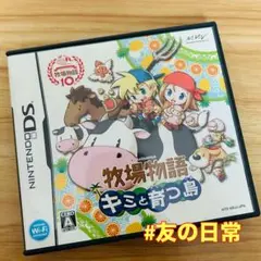 牧場物語 キミと育つ島 DS