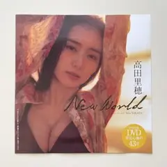 ★新品未開封★週刊プレイボーイ特別付録DVD 高田里穂 New World