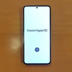 Xiaomi 13T メドウグリーン　8GB/256GB