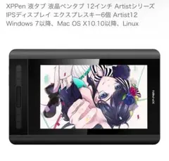 XP-PEN ARTIST12
