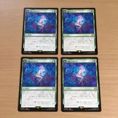 MTG 幻獣との交わり 日本語　4枚セット