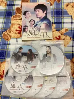 嵐の中へ
