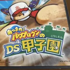 ◆◆ DS あつまれ!パワプロクンのDS甲子園　◆◆